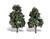 Classic Trees Sun Kissed Medium/Large (6" - 7") Trees Pack of 2