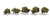 Classic Trees Water's Edge Small/Medium (1.25" - 2") Trees Pack of 5