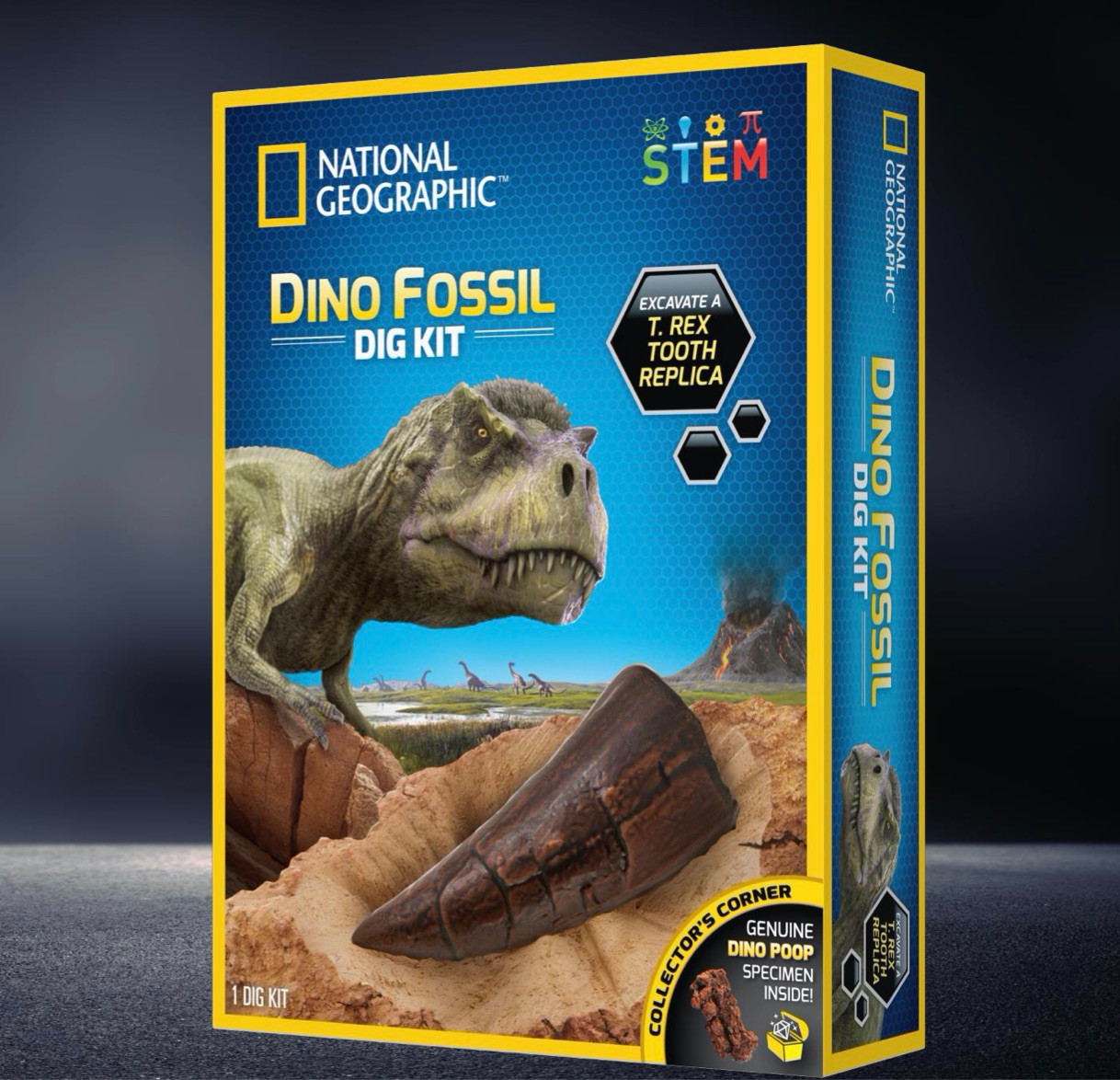 Kit Scavo Fossili National Geographic - Dente T-Rex E Cacca Di Dinosauro Veri