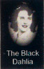 The Black Dahlia Biography