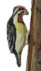 Dollhouse City - Dollhouse Miniatures Yellow Bellied Sapsucker