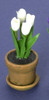 Dollhouse City - Dollhouse Miniatures Tulip in Aged Pot - White