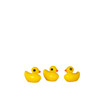 Mini - Yellow Ducks