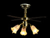 3-Tulip Ceiling Fan