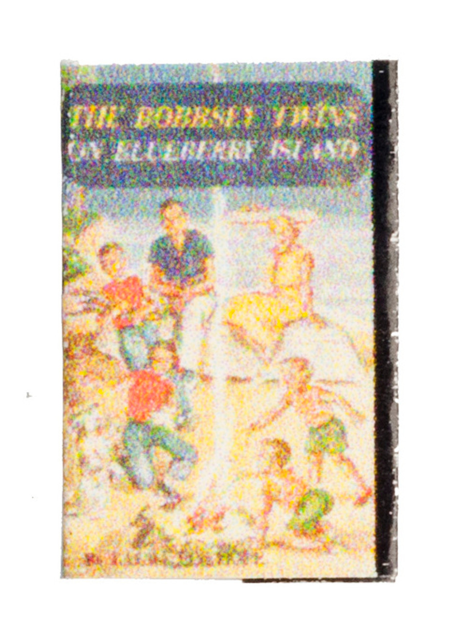 The Bobbsey Twins -  On Blueberry Island