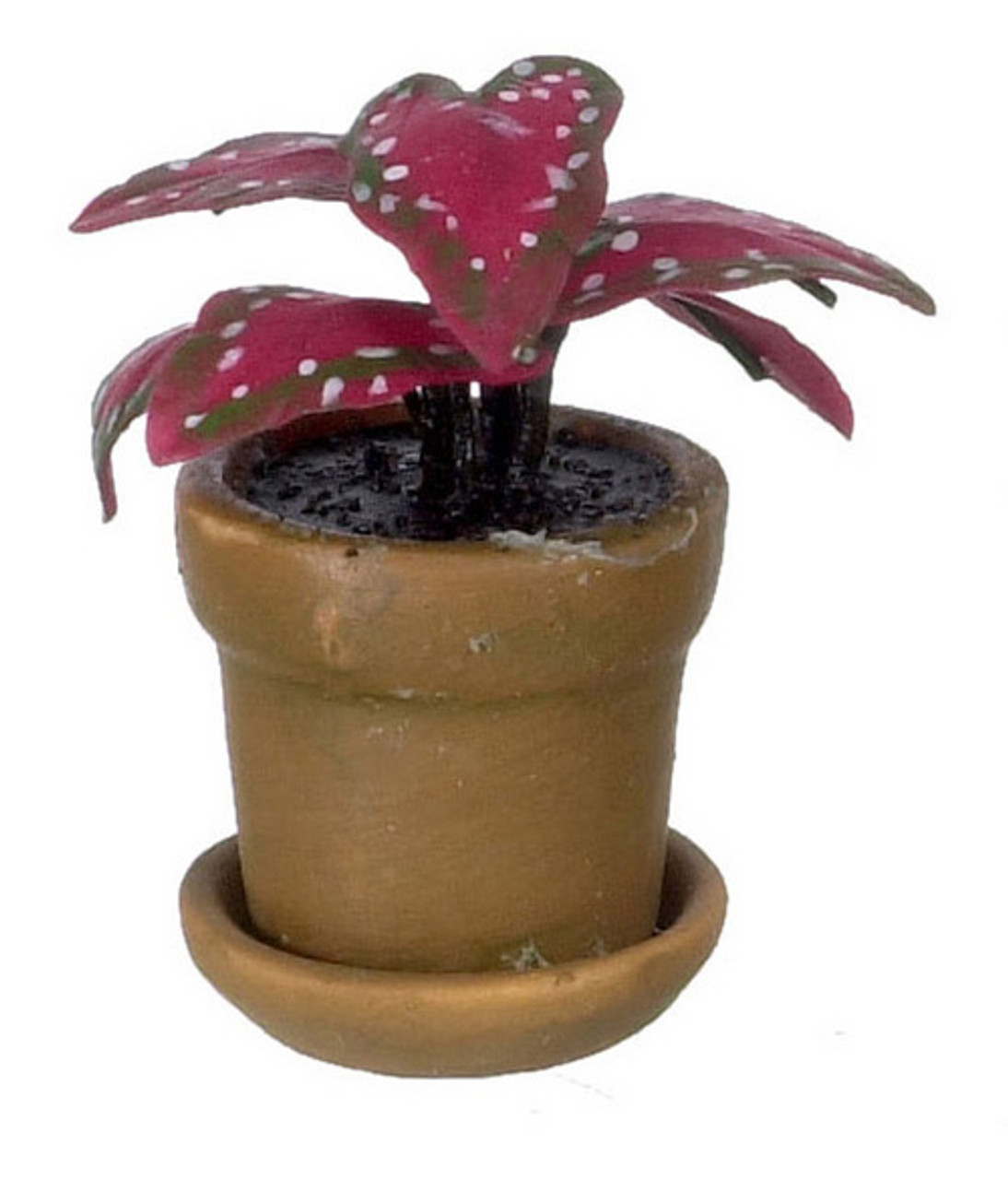 Dollhouse City - Dollhouse Miniatures Caladium - Red