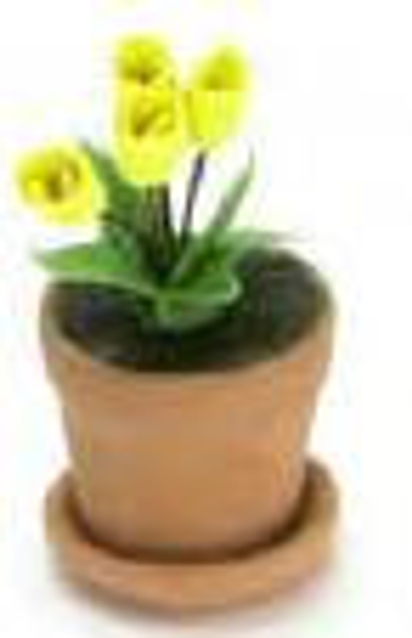 Tulips Clay Pot - Yellow