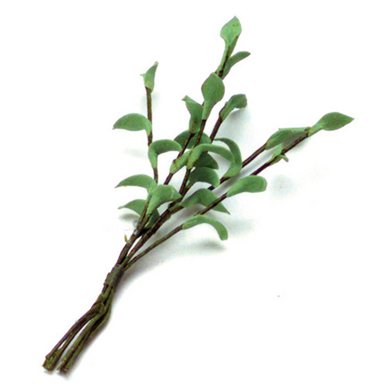 Small Stems - Dark Green