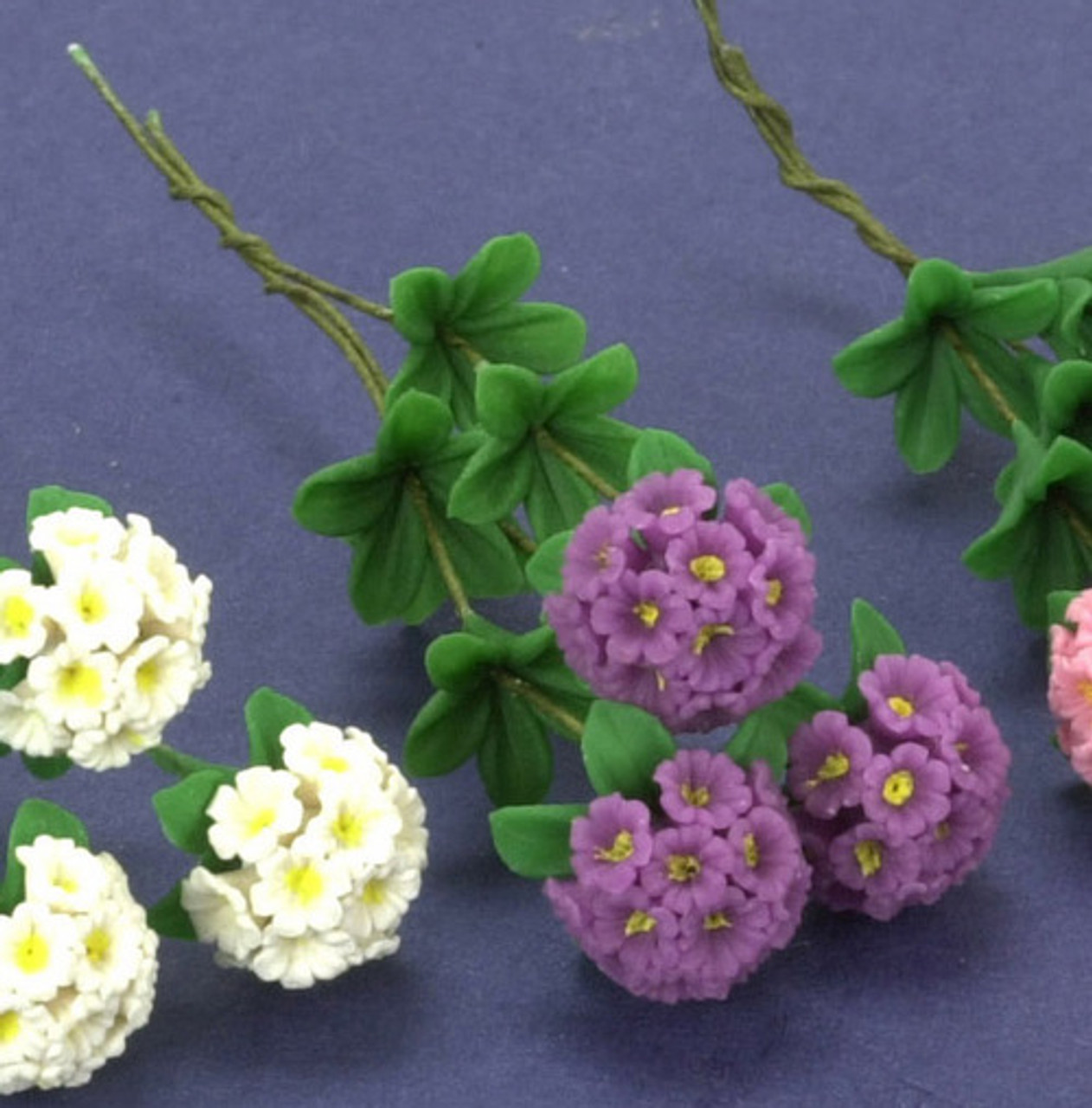Rhododendron Stems - Purple