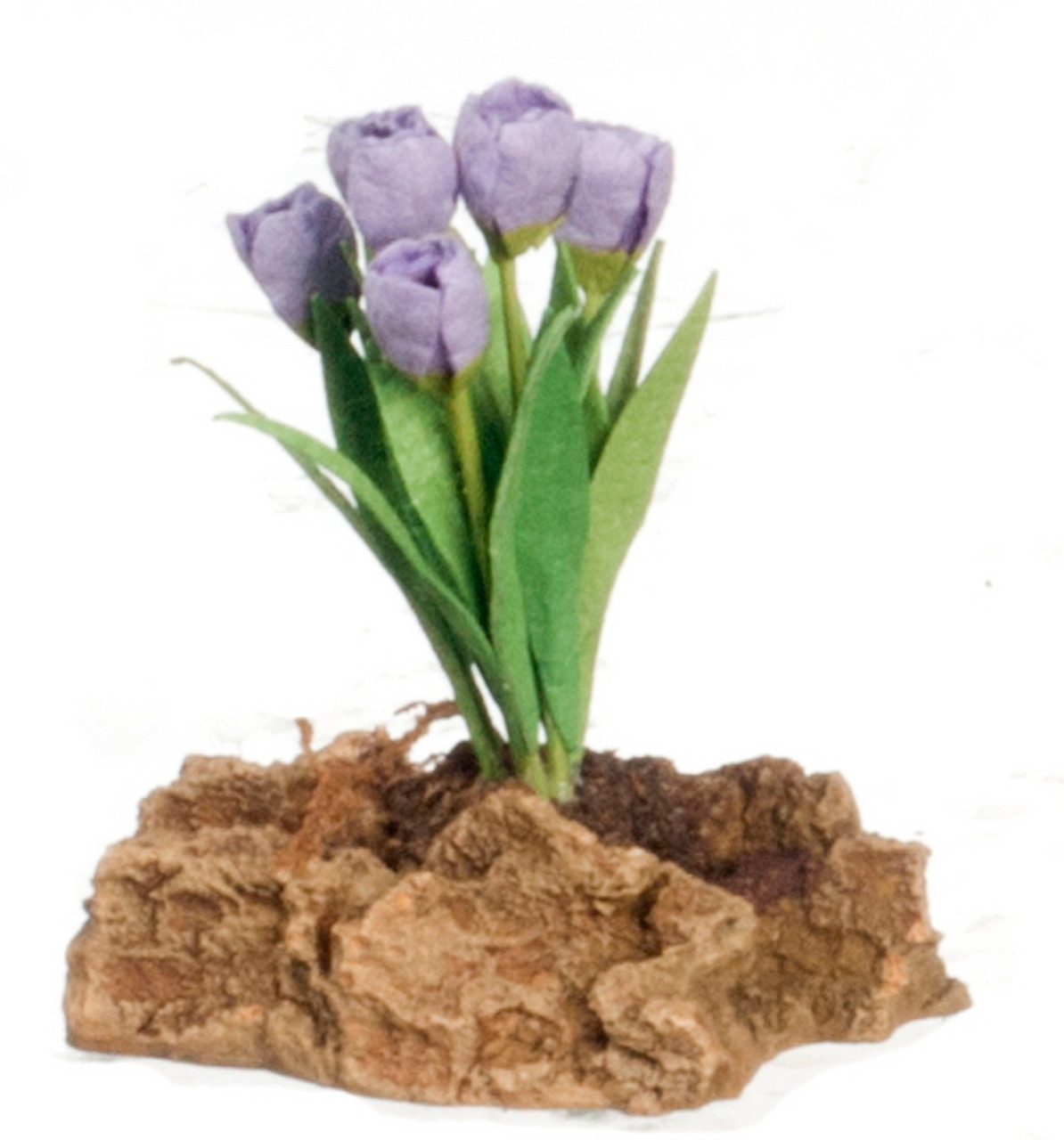 Tulips Plant On Rock - Lavender