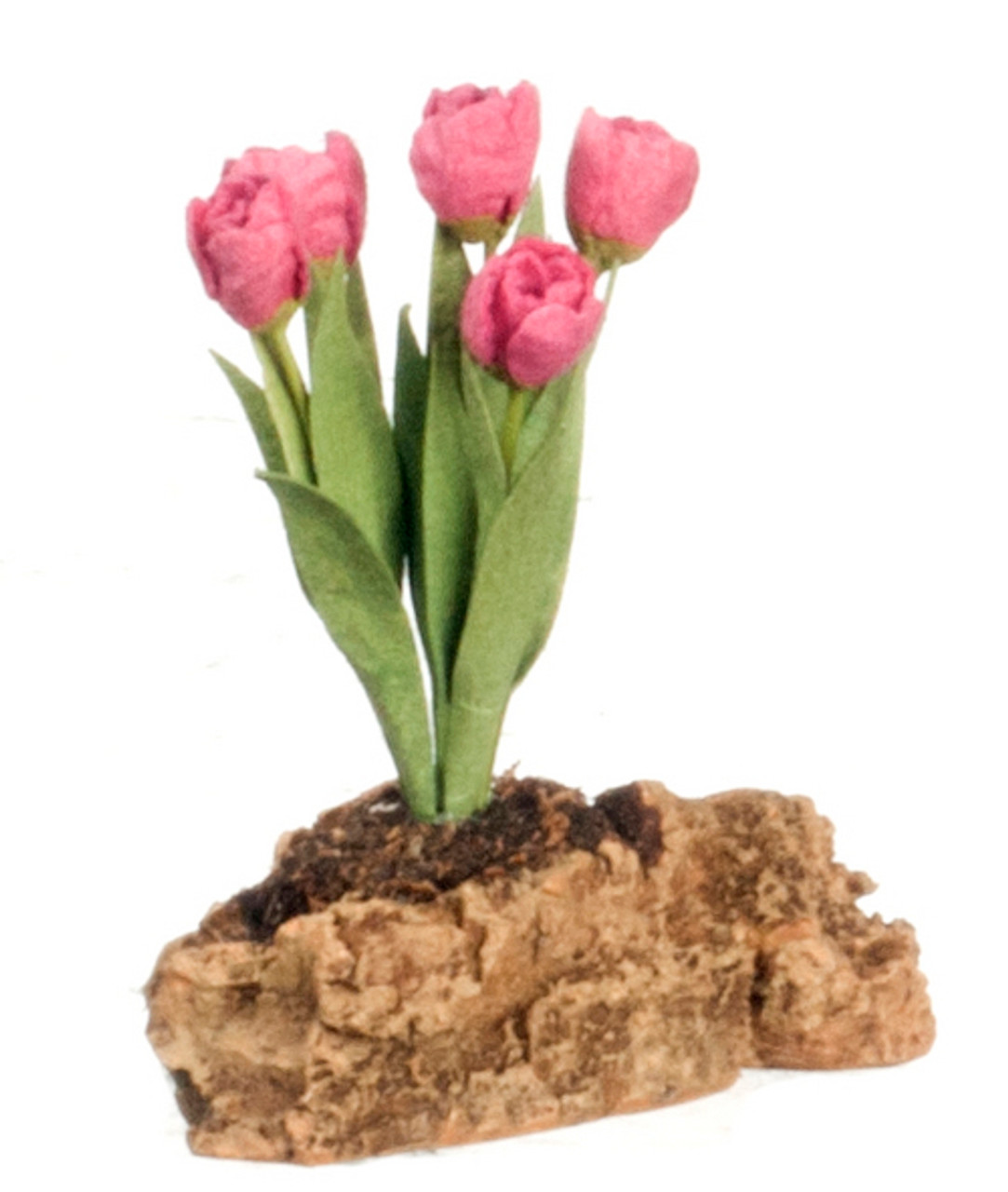 Tulips Plant On Rock - Hot Pink