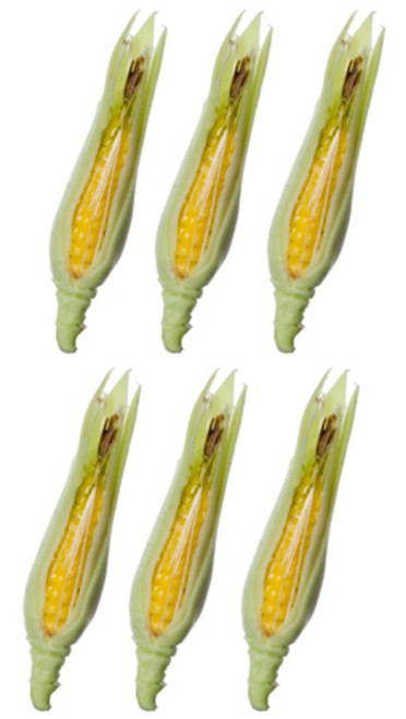 Dollhouse City - Dollhouse Miniatures Corn