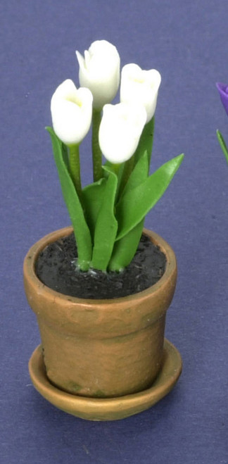 Dollhouse City - Dollhouse Miniatures Tulip in Aged Pot - White