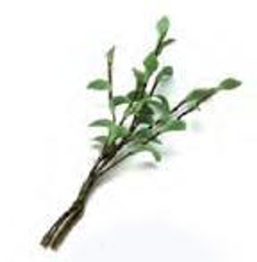 Small Stems - Dark Green