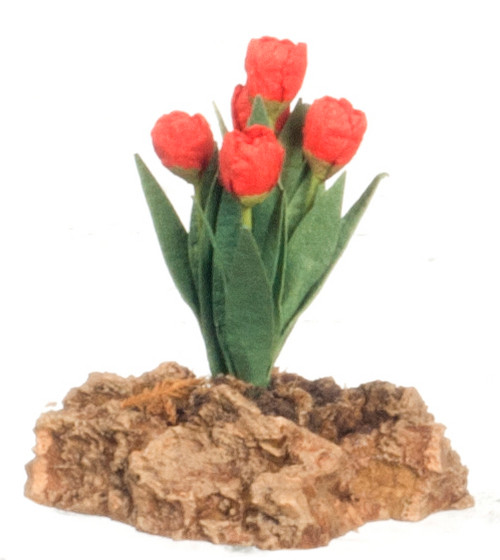 Tulips Plant On Rock - Orange