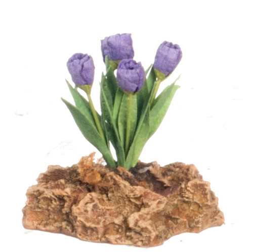 Tulips Plant On Rock - Purple