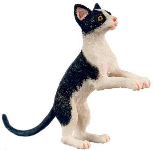 Dollhouse City - Dollhouse Miniatures Cat with Socks