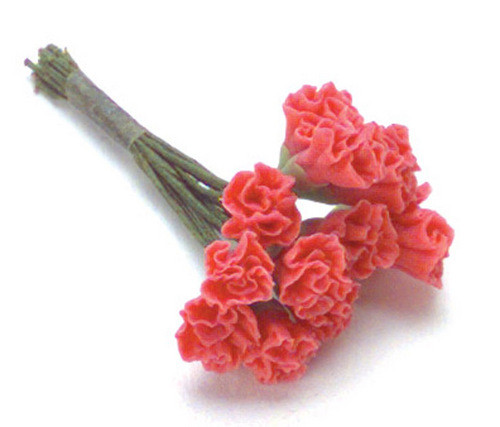 Large Carnations - Coral