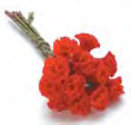 Large Carnations - Red