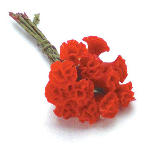 Large Carnations - Red
