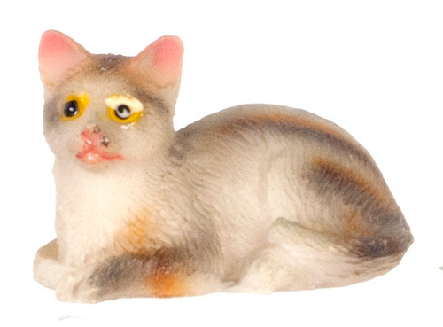 Tabby Cat Sitting