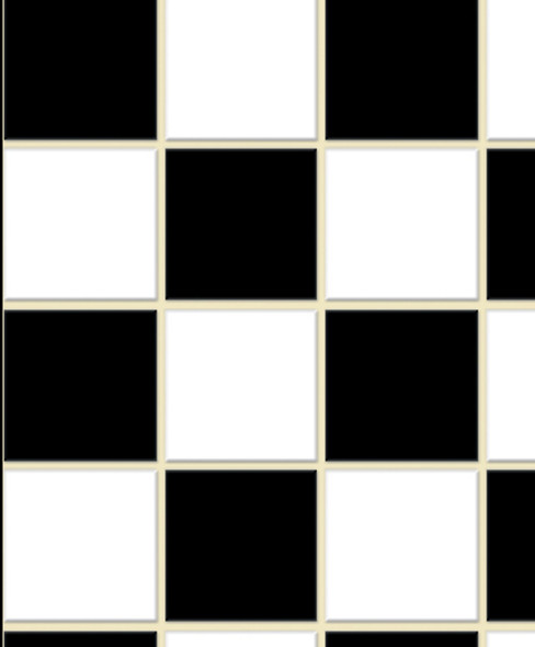 No Wax Flooring - Black and White Check