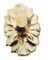 Medallion Knob Set - Brass