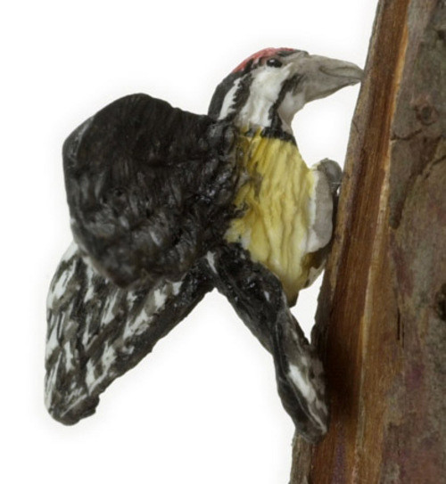 Dollhouse City - Dollhouse Miniatures Bellied Sapsucker - Yellow