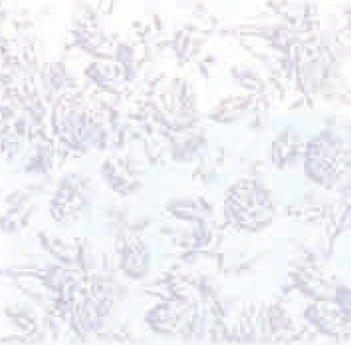 Wallpaper Tifany Set - Lilac
