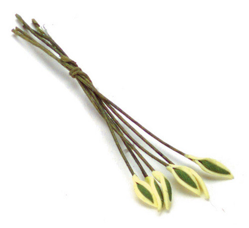 Single Yellow Edge Leaf