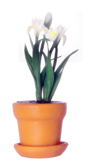 Iris Clay Pot - White