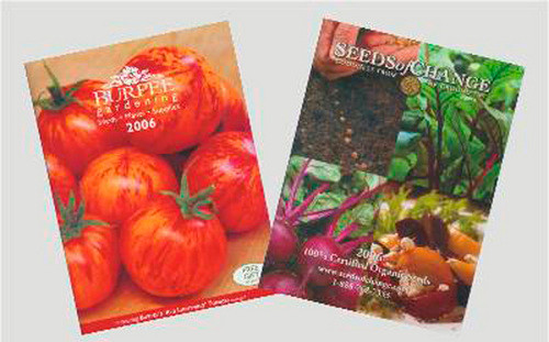 Seed Catalogs Set