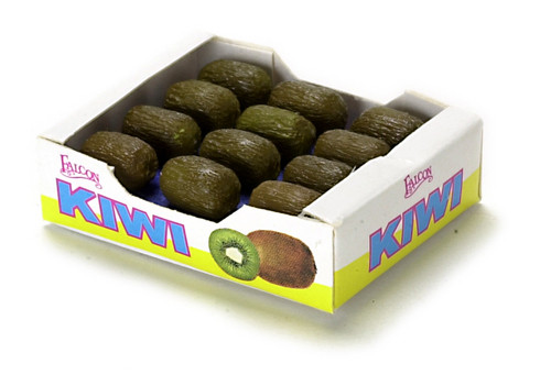 Dollhouse City - Dollhouse Miniatures Kiwi Case