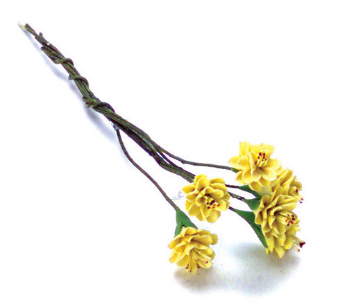 Prunus - Yellow