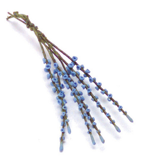 Lupinus Stem - Blue