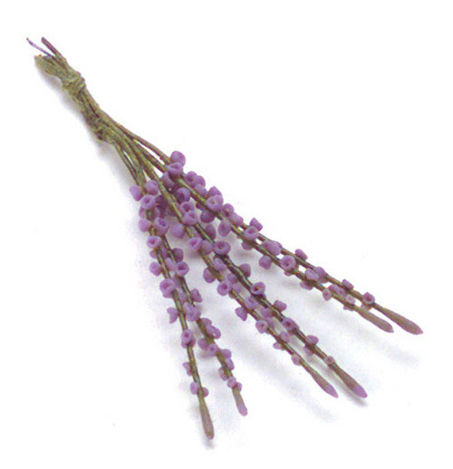 Lupinus Stems - Purple