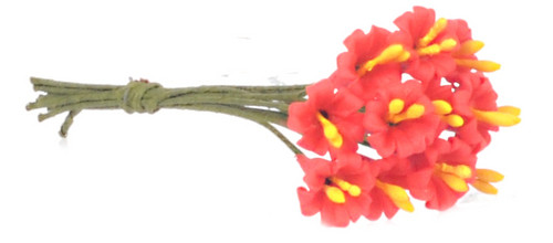 Lilies - Hot Red