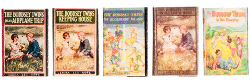 The Bobbsey Twins Set