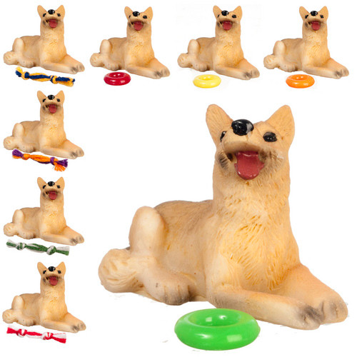 Dog with Toy