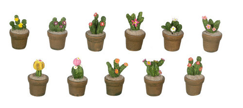 Dollhouse City - Dollhouse Miniatures Cactia Assorted Set