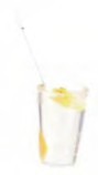 Glass with Lemon and Straw