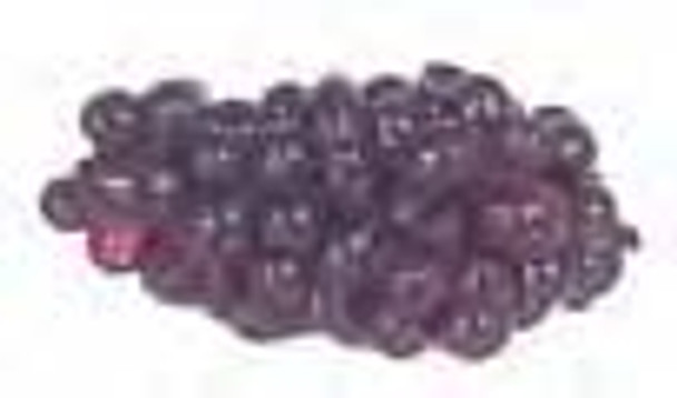 Bunch of Grapes - Purple