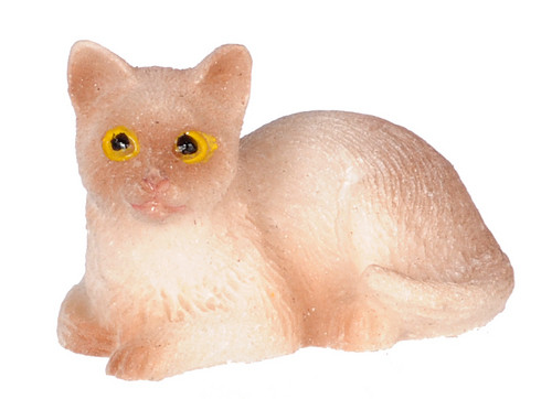Siamese Cat Sitting