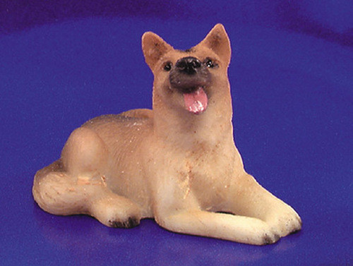German Sheperd