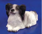 Papillon