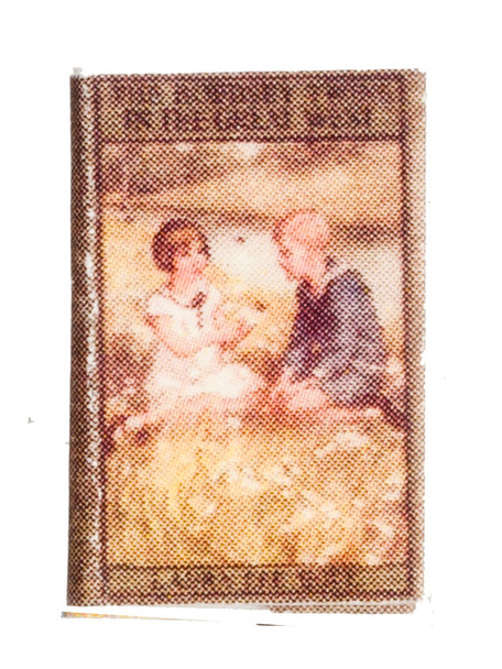 The Bobbsey Twins - In the Great West