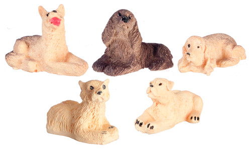 Dogs - Assorted