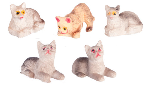 Cats Assorted