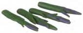 Asparagus