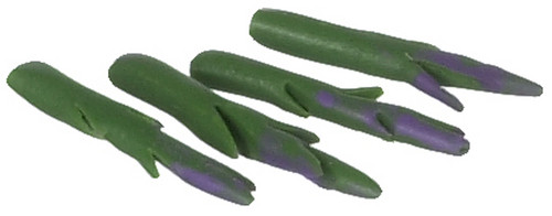 Asparagus